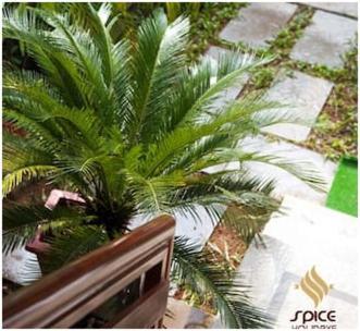 Отель Spice Holidays Коччи Экстерьер фото